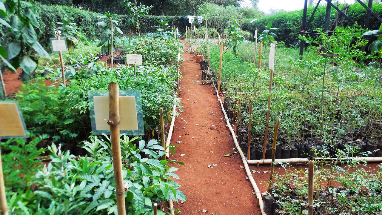 Where we work Kenya A RochaKenya A Rocha