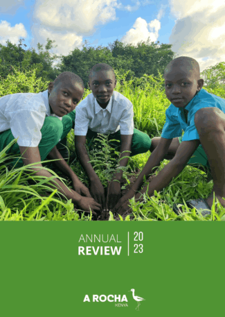 _2023 Annual Review-Final Draft