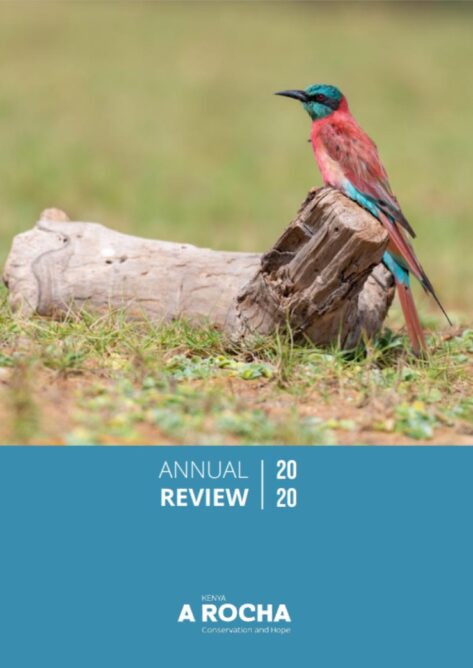 AnnualReview2020