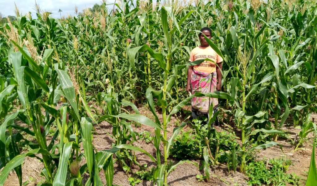 farming